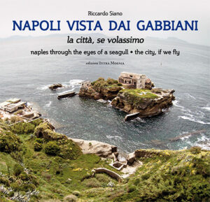 Copertina libro Napoli vista dai gabbiani