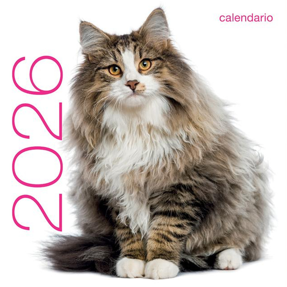 Copertina libro Gatti. Calendario da muro 2026