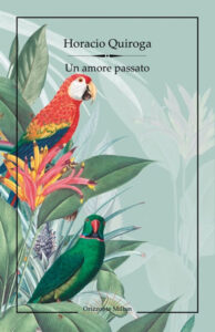 Copertina libro Un amore passato