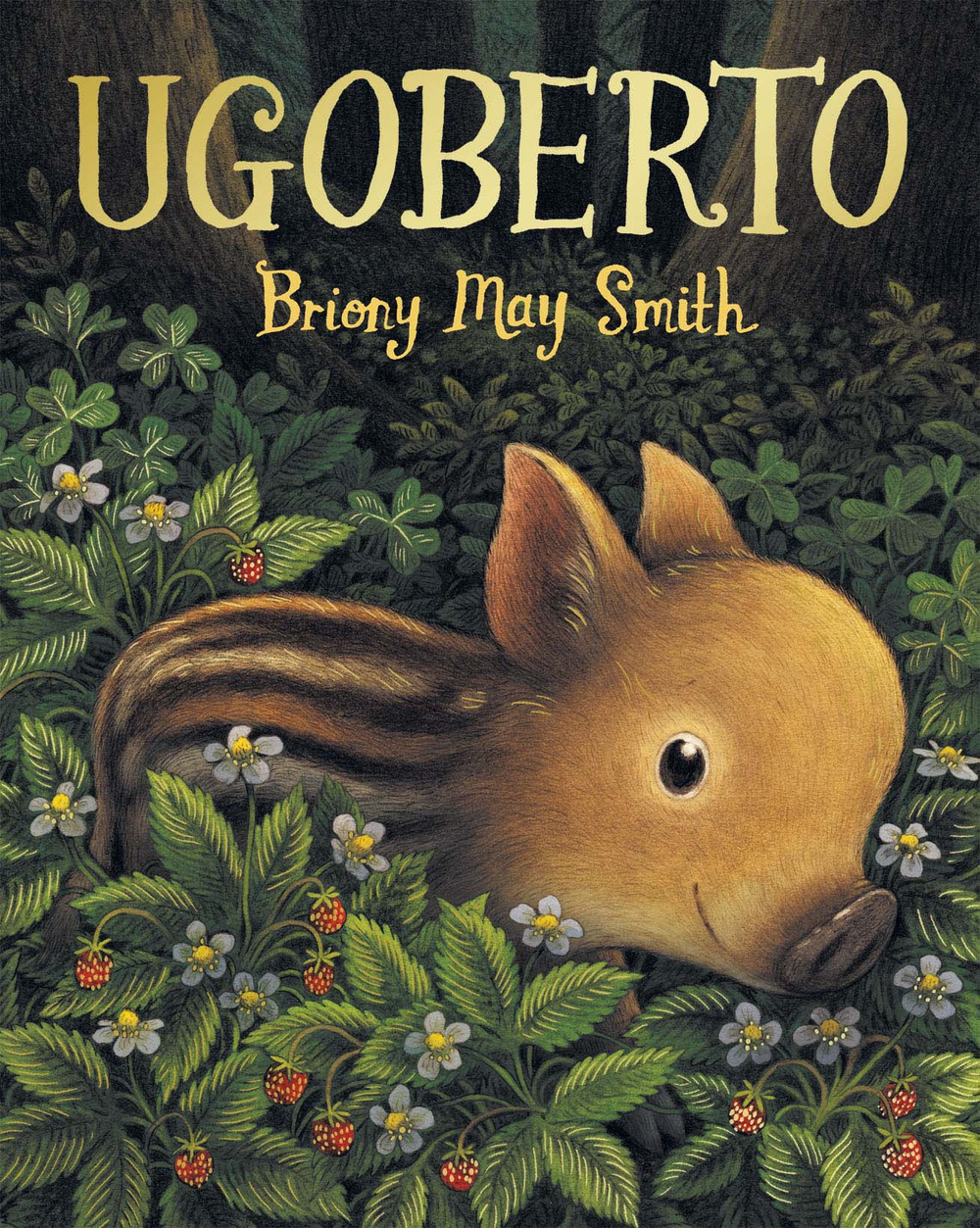 Copertina libro UgoBerto